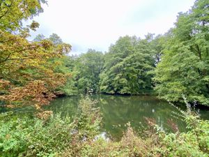 Lake- click for photo gallery